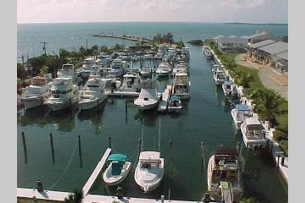 Licensed Mgr - 2/2 Villa - Oceanfront Beach Resort - Saltwater Lagoon & Marina! Key Largo Ngoại thất bức ảnh